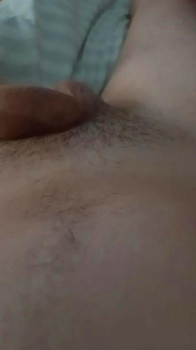 gato2346