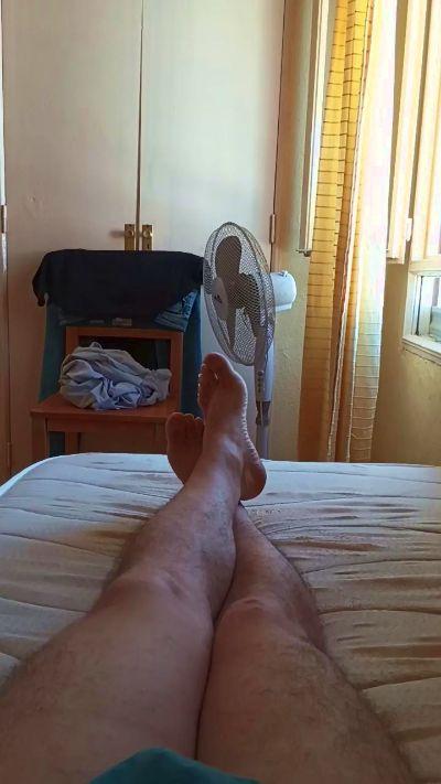 gato_con_botas