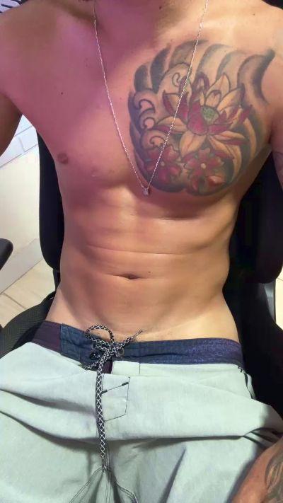 gato_dtado