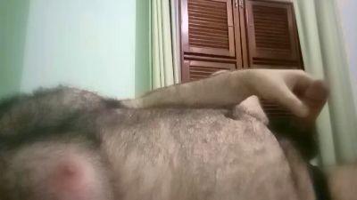 gui_novinnho