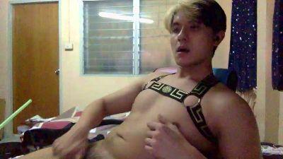 harnessasianboy