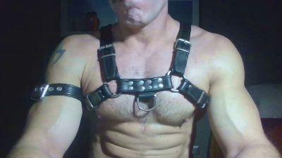 horny__pig
