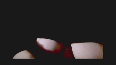 immergeil30_xxx