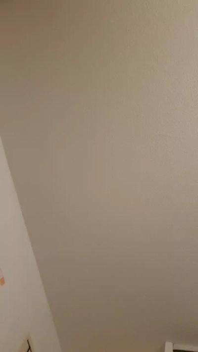 jesuisunbiscuit