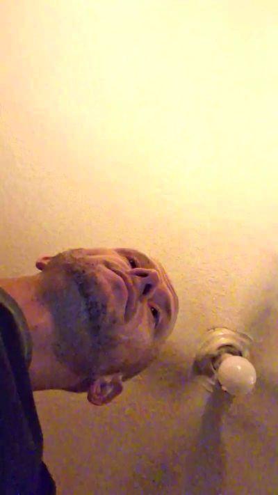 joeys_fun