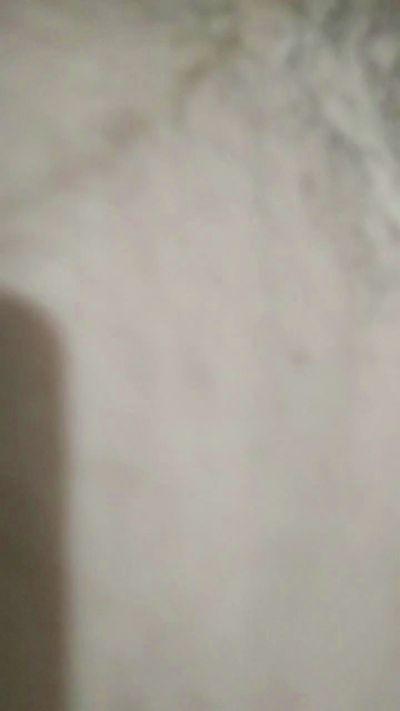jucca7
