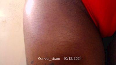 kendal_vixen