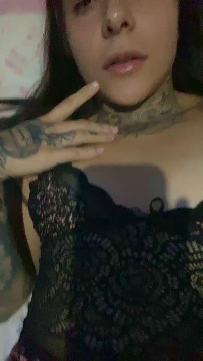 kitty291