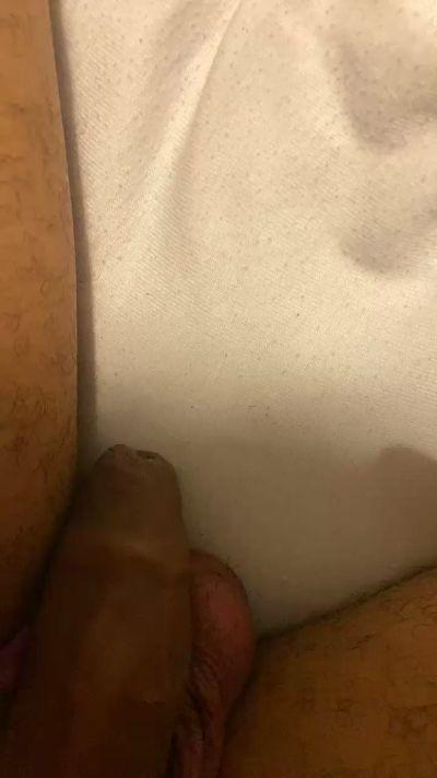 lapanterarosa4