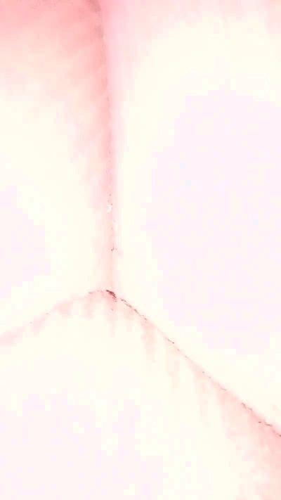 latika6