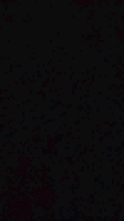 lbranleur24