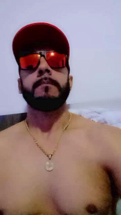 leo23cmgato384