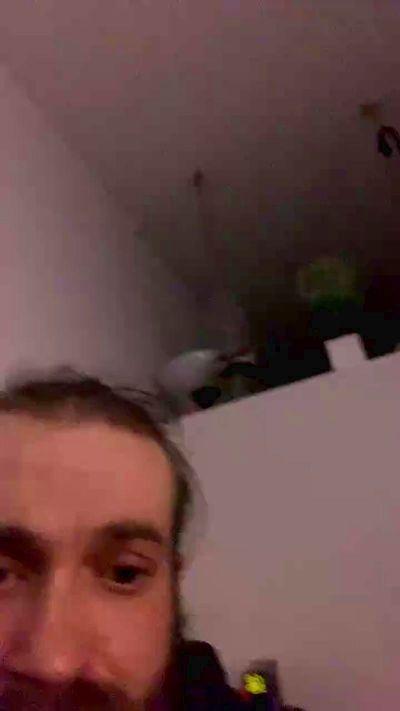 lescoquin42
