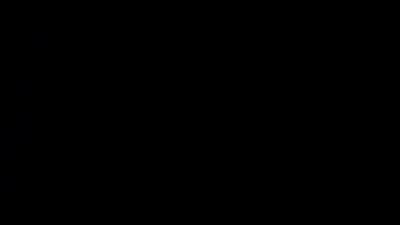 lizmonkey