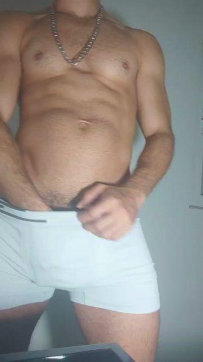 lobo_alfa