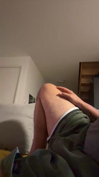 lusitano_26