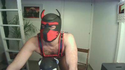 masterpuppy1