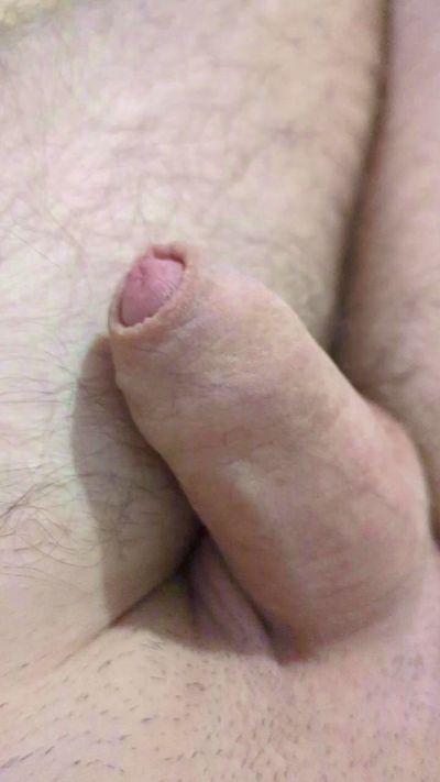 max44_xxx