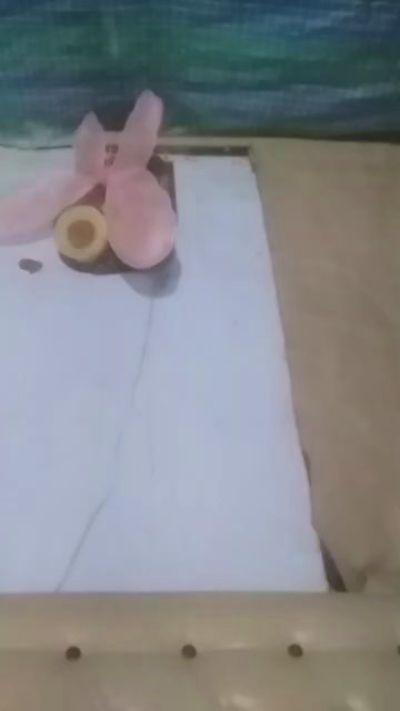 mialy5
