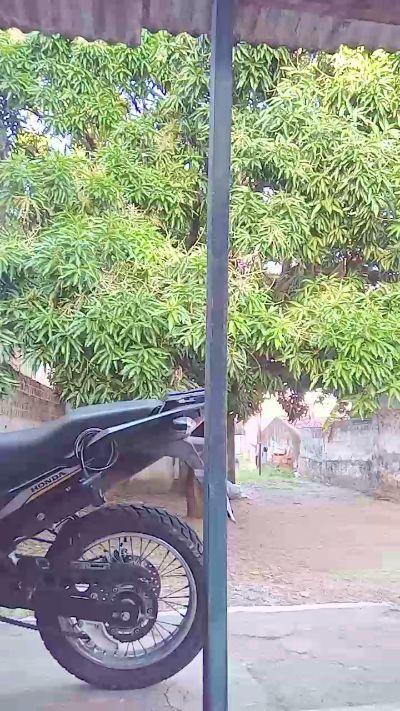 micarla6
