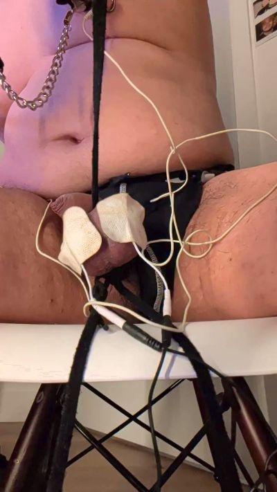 milking_cocks