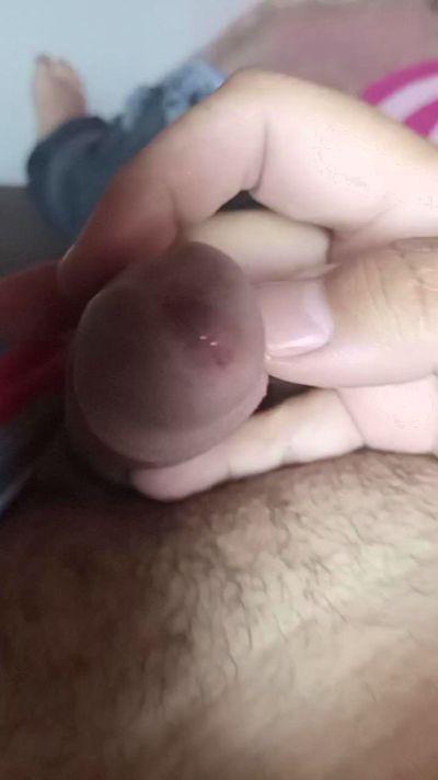 nipobrasil