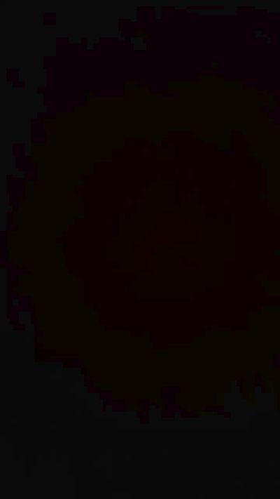 nj_guy1031