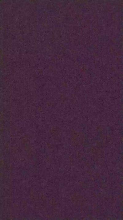 noidueincoppia2
