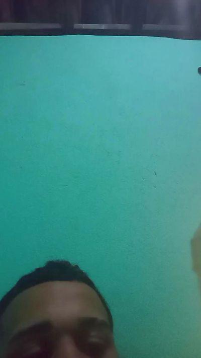 novin008