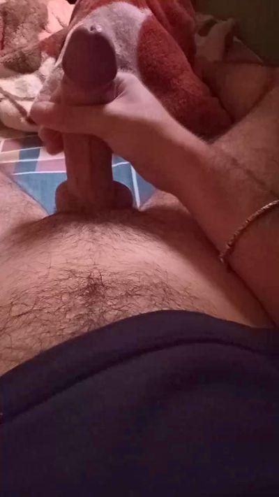 novinho127