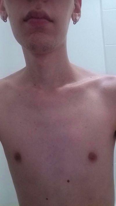 novo_2617