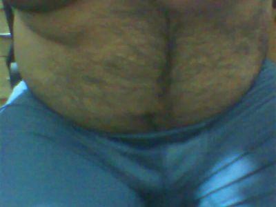 pablobear