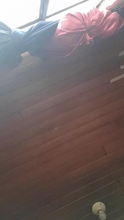 pamela_miller6
