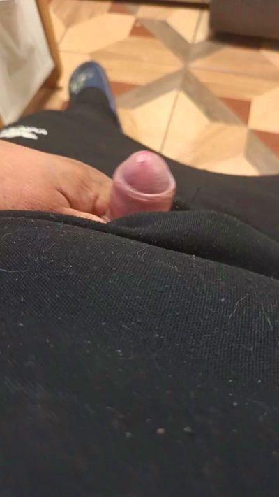 pedritostgo44