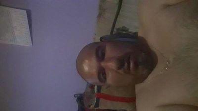 peln11151