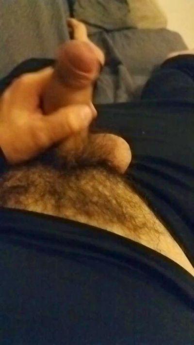 pichoncitom3