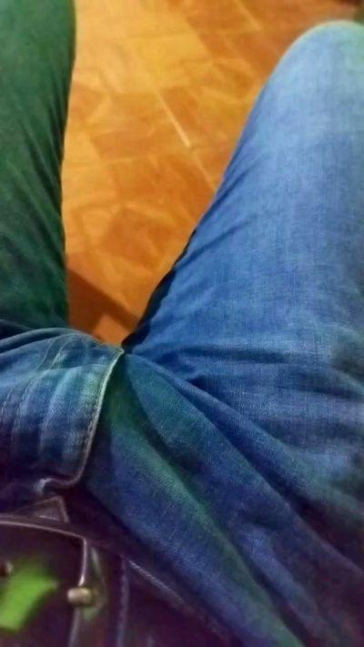 pipillo4