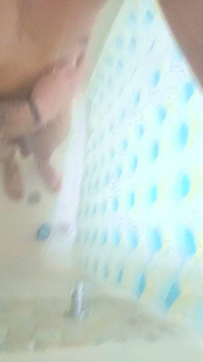 pleasureTrip1