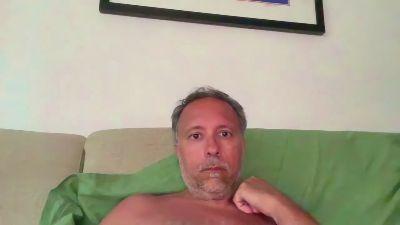 poltito