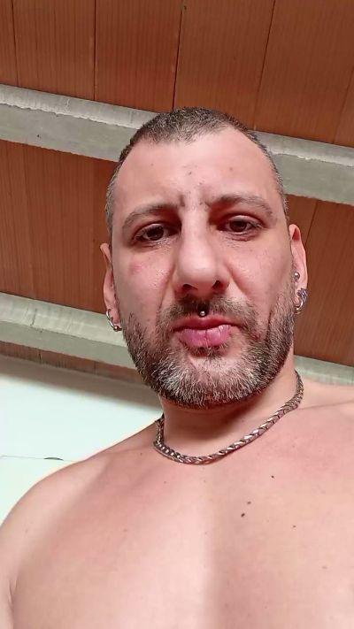 porcospinello1