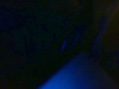 rainer2005
