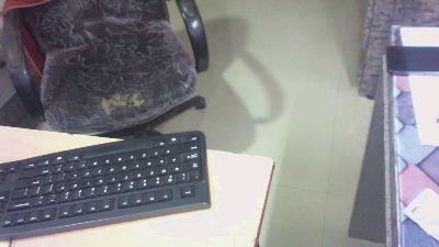 roco_hunter