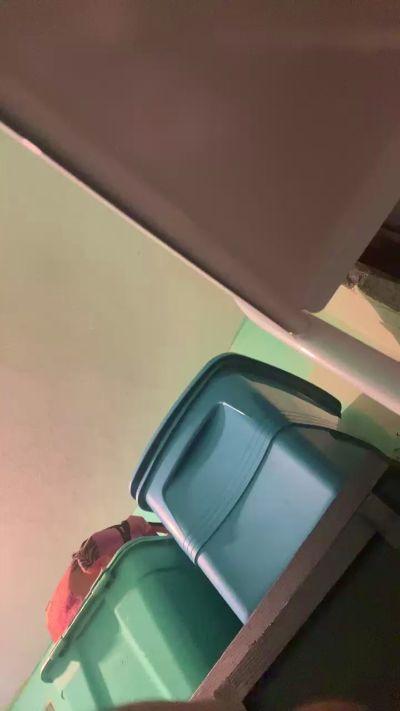 rositafresita5
