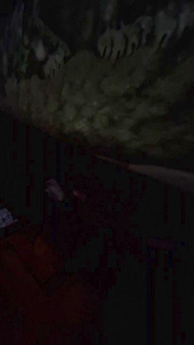 sammysex7