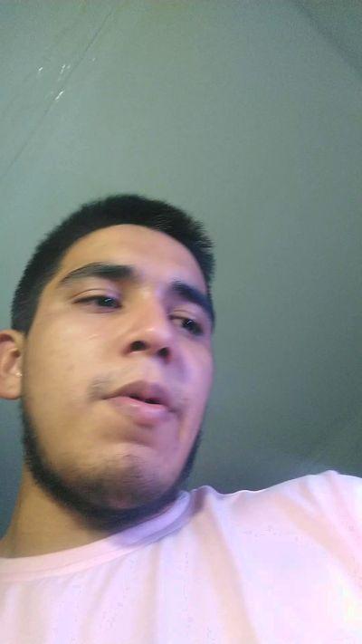 sex_pigs_1