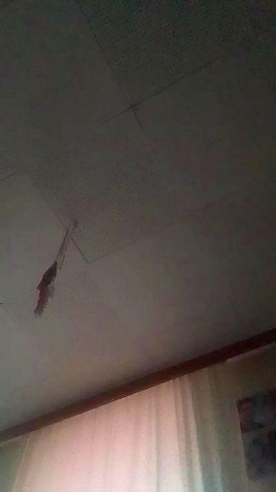 sexyluder20_fun