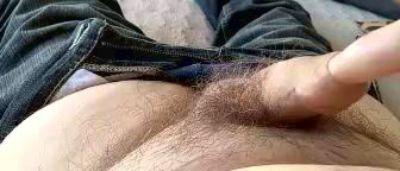 sstoy1