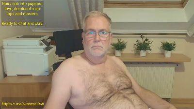 subbear1968