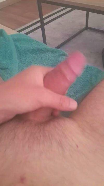sudistecoquin