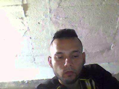 taz1993hot